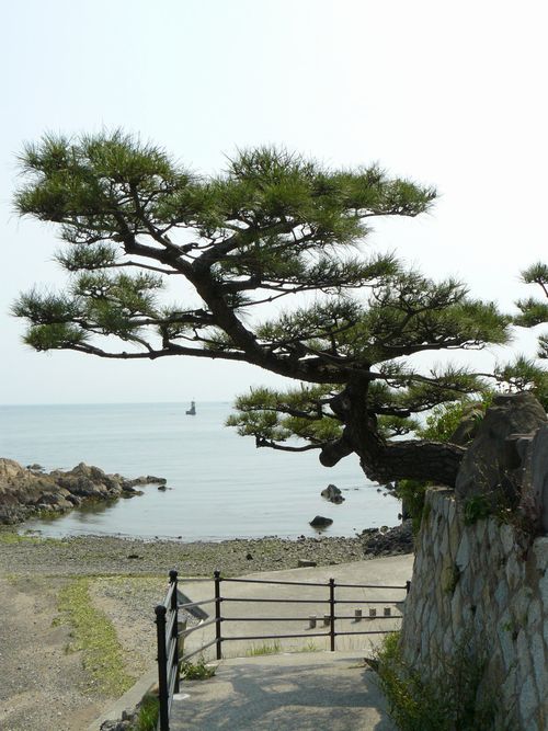 ��Ζ��c�̏�