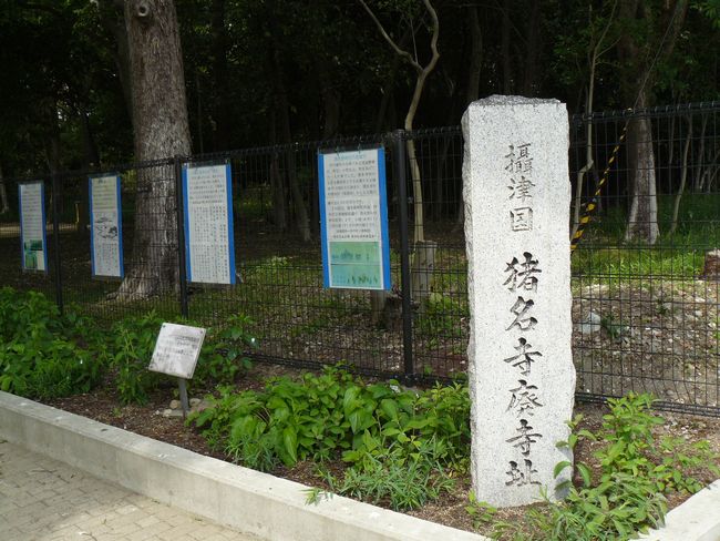 �������p����