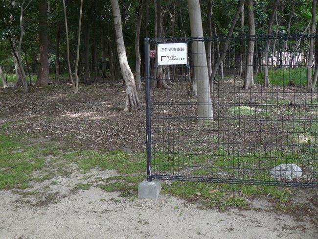 �������p����