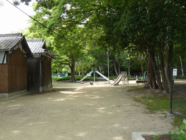 �������p����