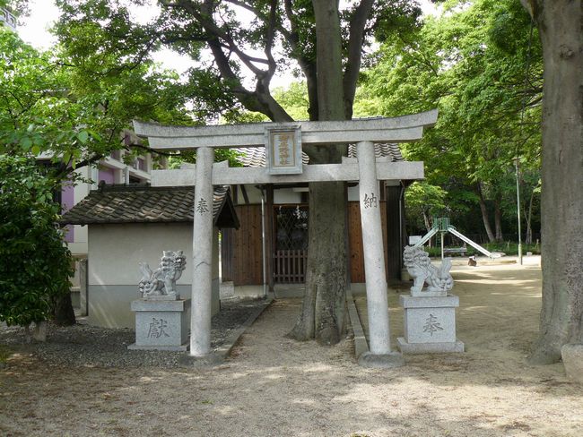 �������p����