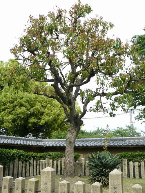 �M�z�I�_��