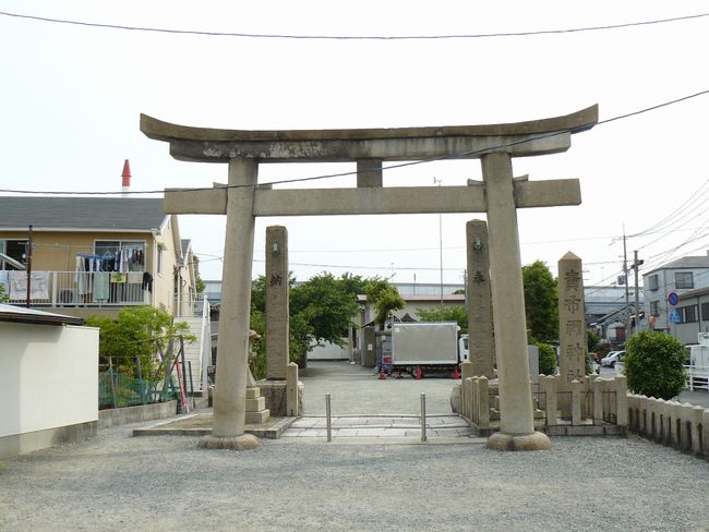 �M�z�I�_��