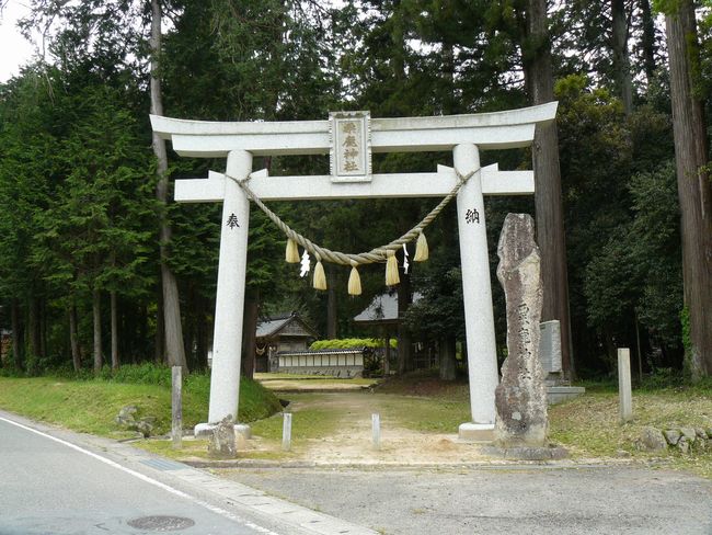 �����_��