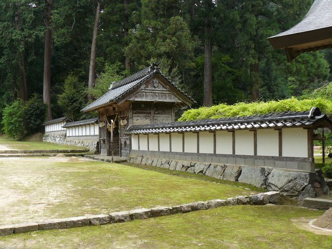 �����_��