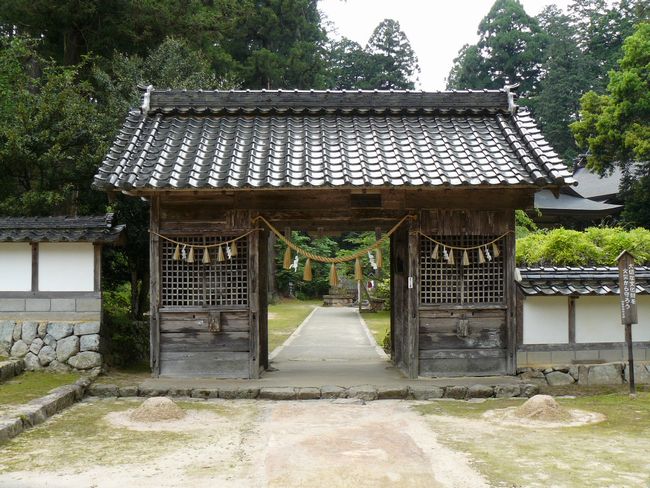 �����_��