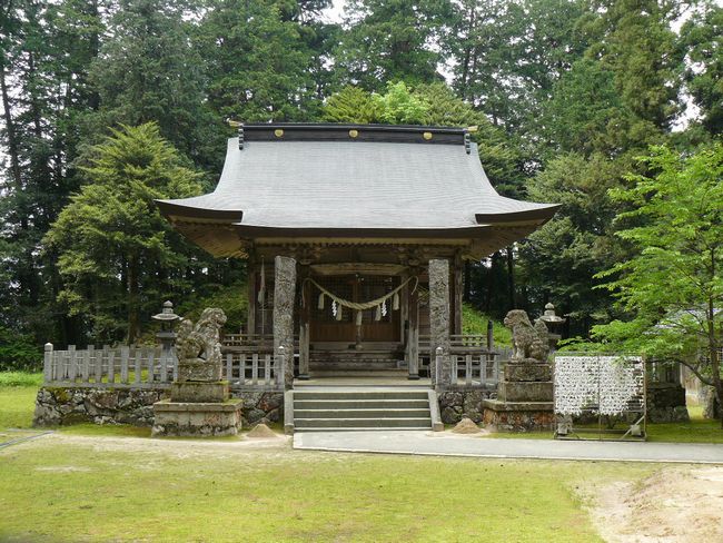 �����_��