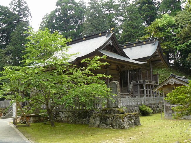 �����_��