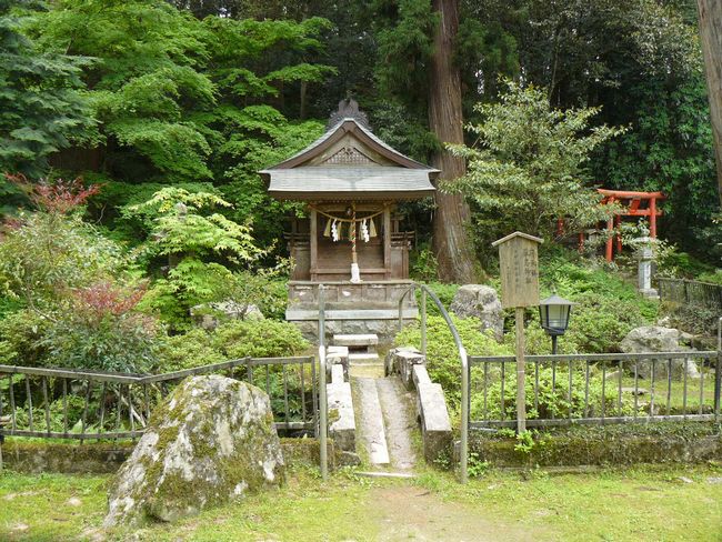 �����_��