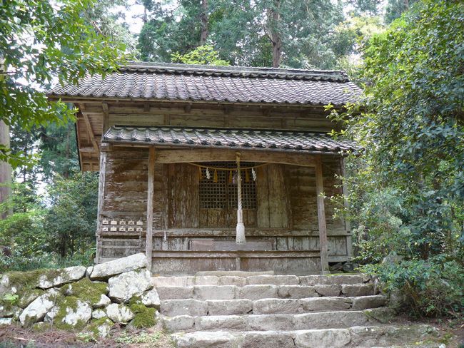 �����_��