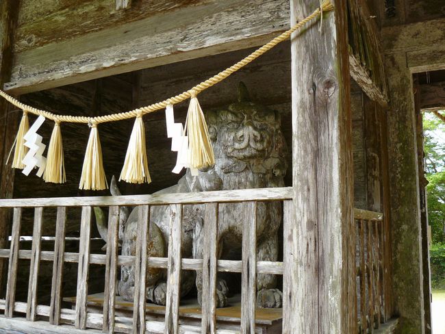 �����_��