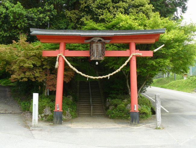 �����_��