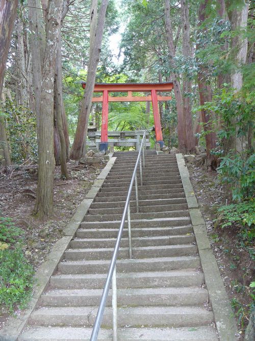 �����_��