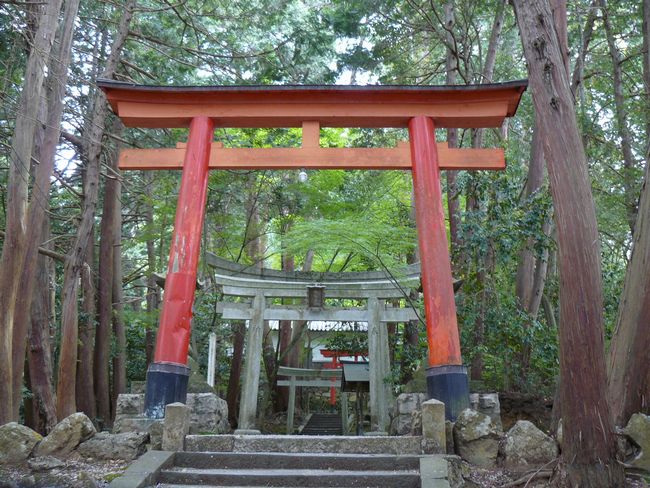 �����_��