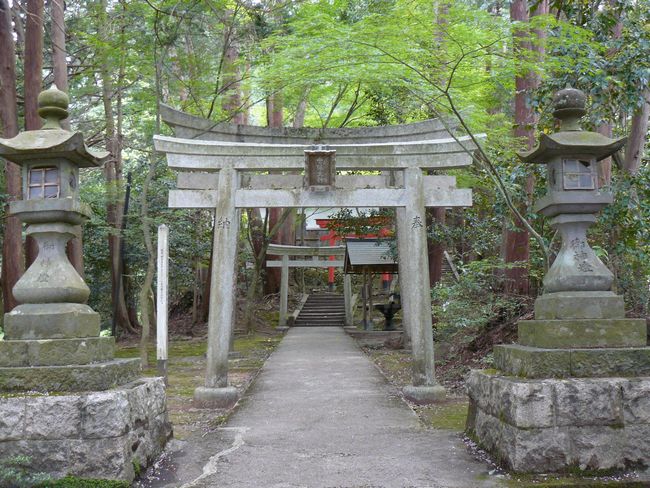 �����_��