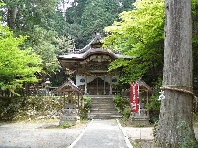 �����_��