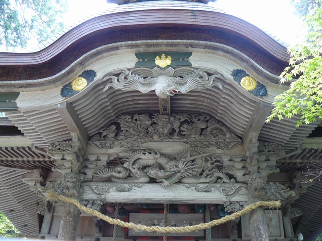 �����_��