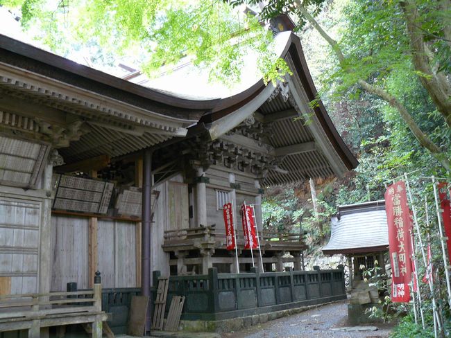 �����_��