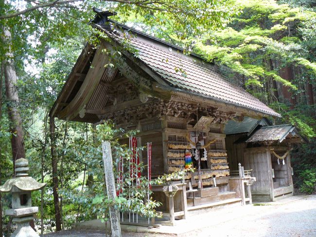 �����_��