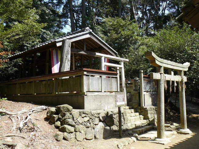 ���R����