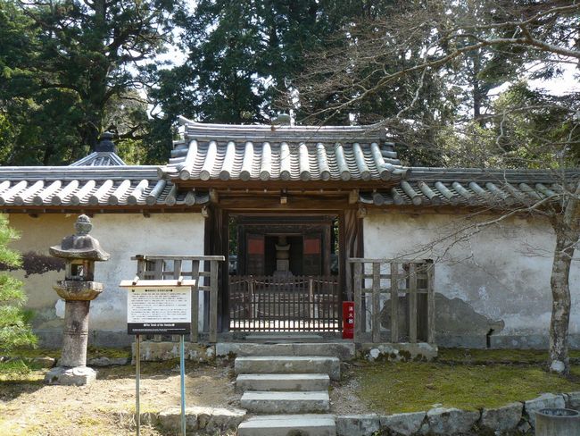 �{���ƕ_��