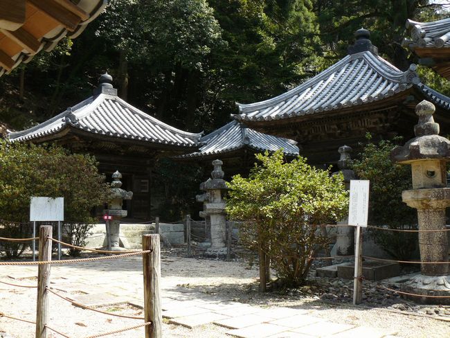 �{���ƕ_��