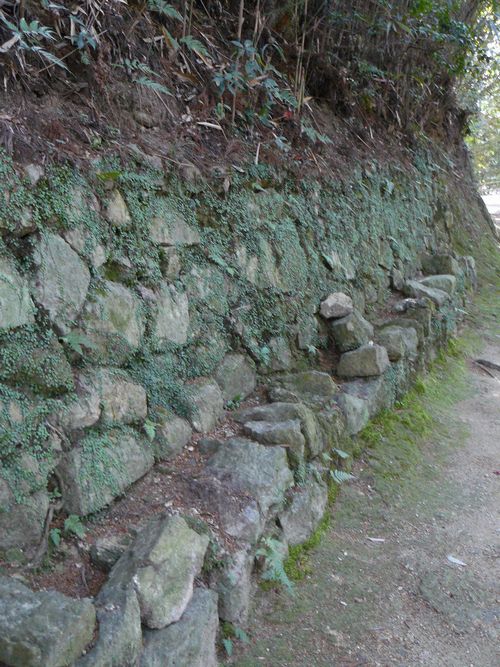 ���ʎR�̃R�P