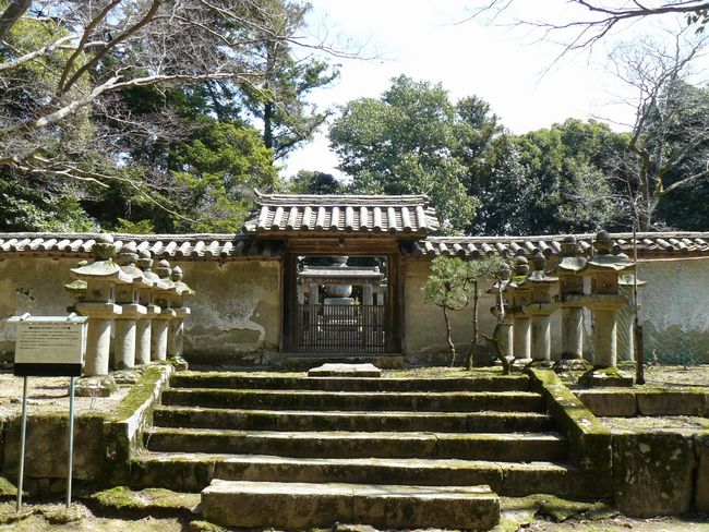 ��������_��