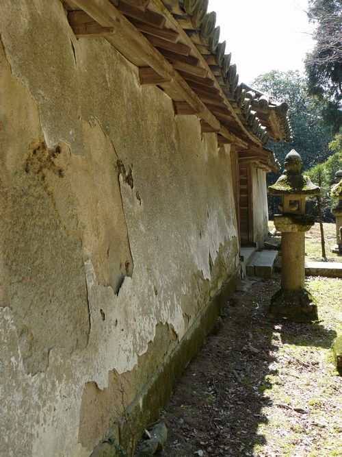 ��������_��