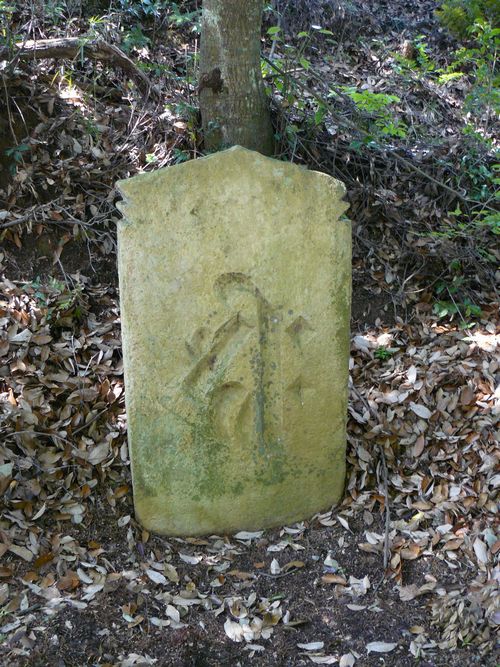 ����Ɏ�q��