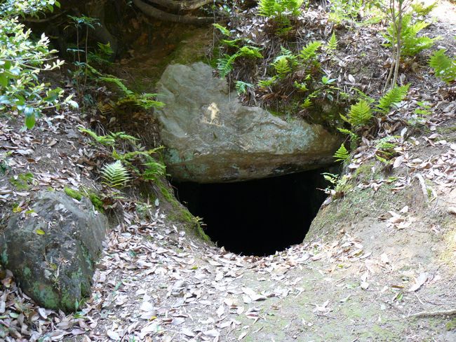 �����R�Õ�