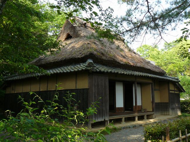 ���c���j����