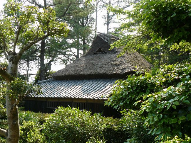 ���c���j����