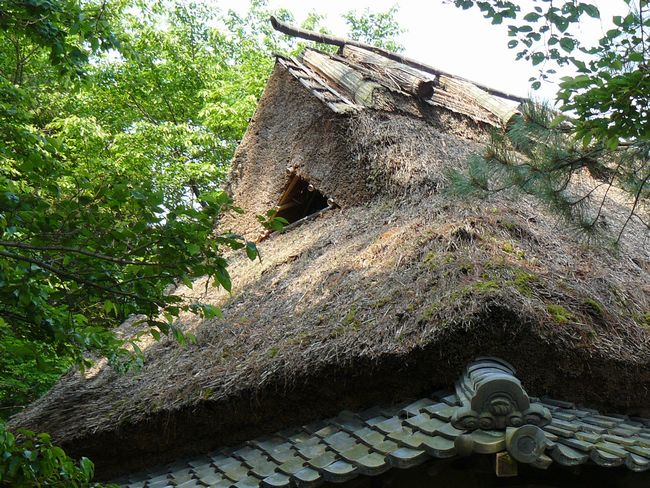 ���c���j����