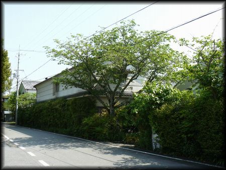 ���{�ߋ����