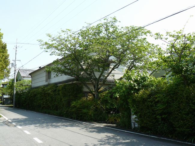 ���{�ߋ����