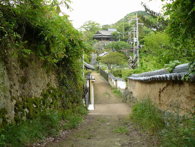 �A���_��