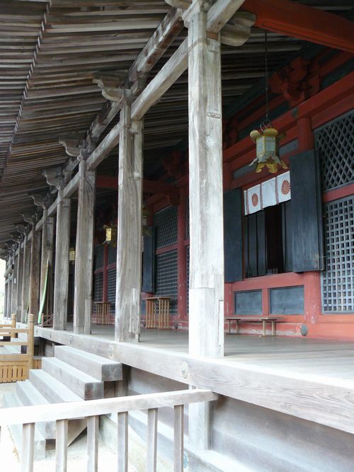 �A���_��