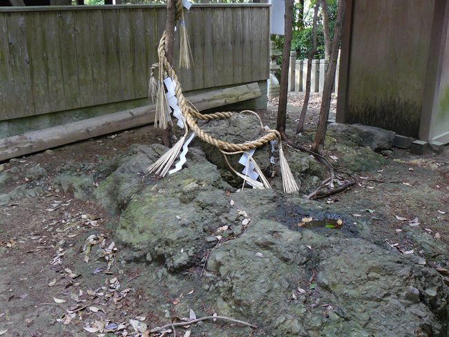 �A���_��