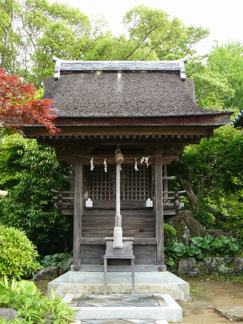 �A���_��