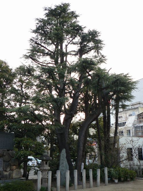 �\�񏊐_�Ёi���e�_�Ёj