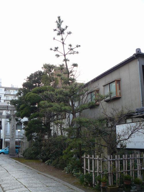 �\�񏊐_�Ёi���e�_�Ёj