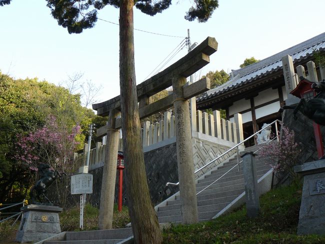 �j�R�����{