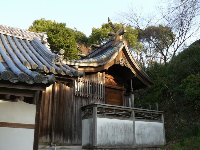 �j�R�����{