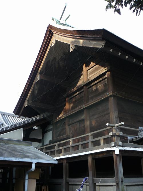 �d��������