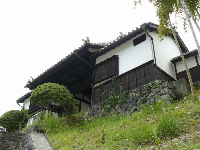 �����w��