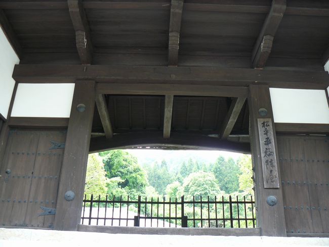 �����w��