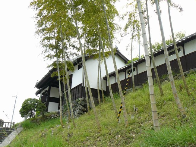 �����w��