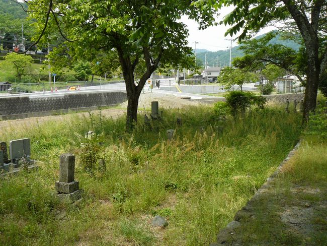 �{�{���������̏�