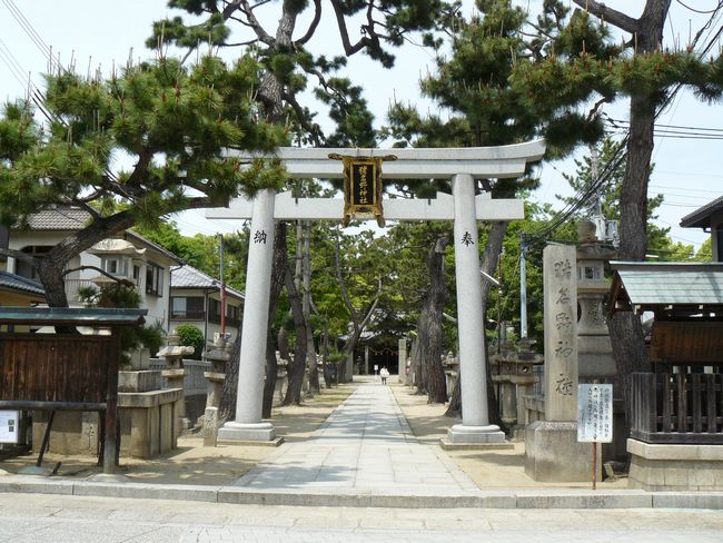 ������_��